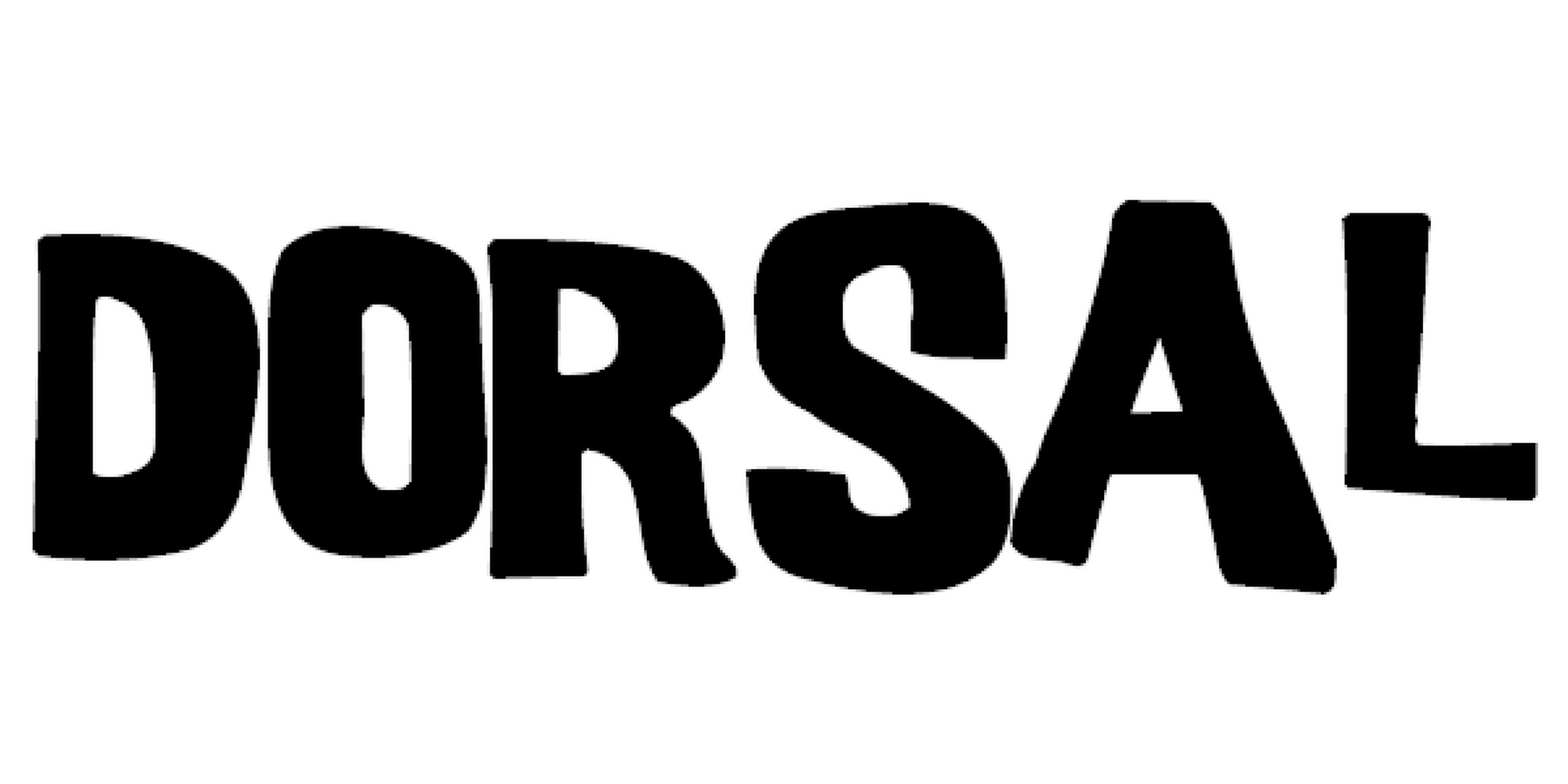 DORSAL Sunguard No Fade Full Size Truck Tailgate Pad for Bicycle and Mountain Bikes-4