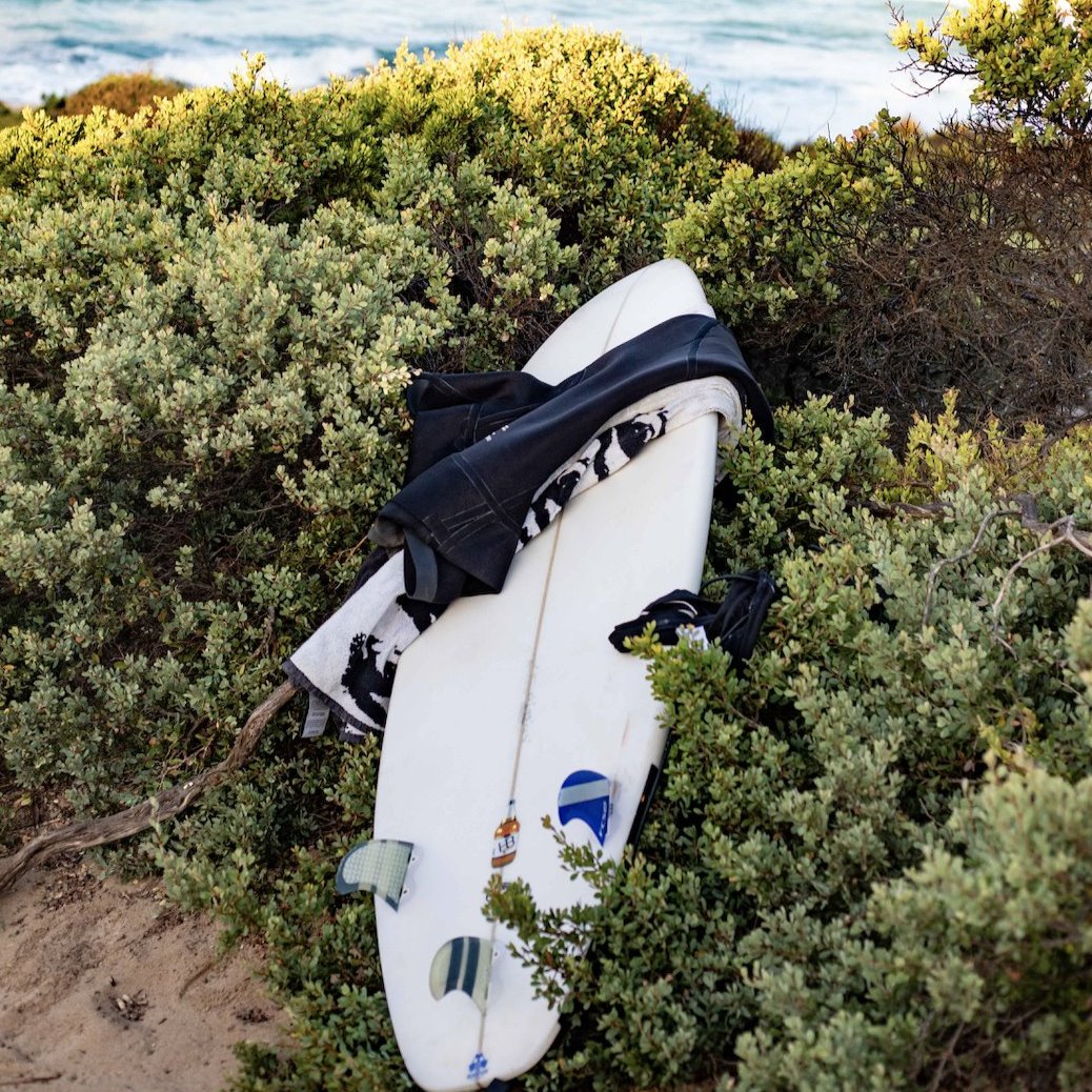 Native Dog Surfwax for Warm Water Surfing-2