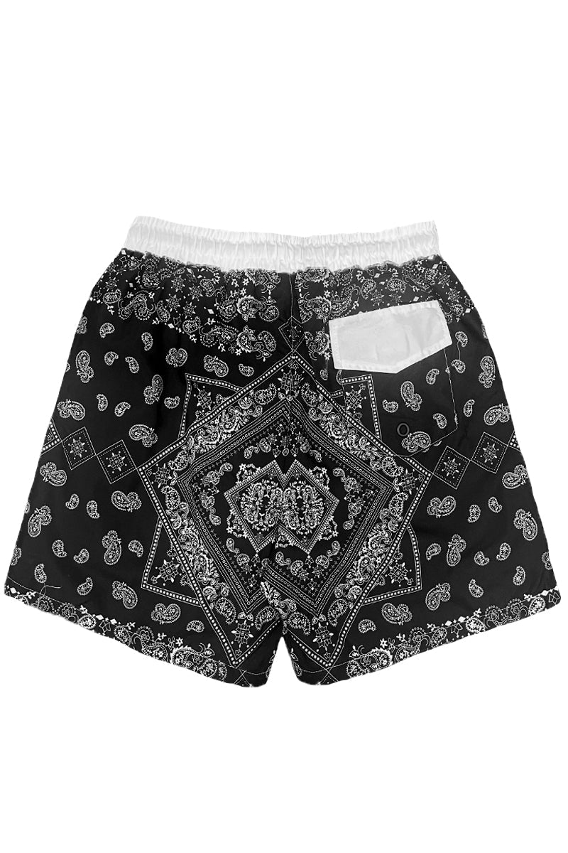 Paisley Print Swim Shorts-2