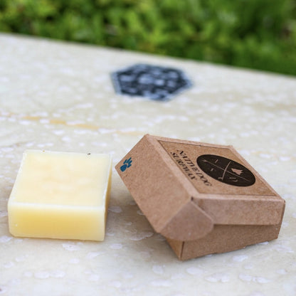 Native Dog Surfwax for Cold Water Surfing-1